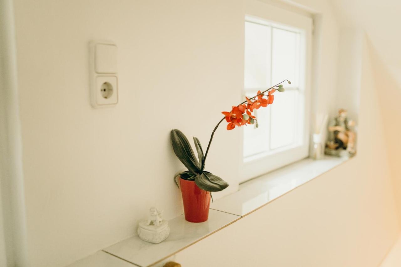 A Cozy Home Away From Home 巴德伊舍 外观 照片